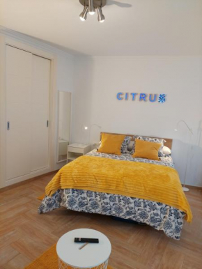 Citrus Suite by Alhaurín Loft City Center, Alhaurin De La Torre